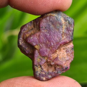 May include: A raw, uncut ruby gemstone with a deep red-purple colour. The natural stone has a textured surface with areas of brown and black. The ruby is held between two fingers against a blurred green background.