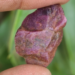 May include: A raw, uncut ruby gemstone, displaying a rich, deep red colour. The surface has a textured appearance with colour variations and darker patches. The gemstone is held between fingers, highlighting its natural, unrefined form.