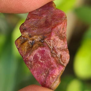 Könnte beinhalten: Ein roher, ungeschliffener Rubin-Edelstein, der zwischen Fingern gehalten wird. Der Rubin zeigt einen tiefroten Farbton mit helleren rosa und braunen Bereichen. Die Oberfläche hat ein strukturiertes Aussehen mit sichtbaren natürlichen Einschlüssen und Unvollkommenheiten. Der Hintergrund ist verschwommen grün.