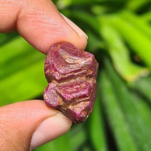 Natural Raw Ruby Gorgeous Specimen | Uncut 53 Carat Ruby | Untreated Unheated Ruby Corundum Indian Ruby Decorative Collection |