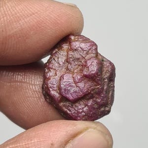 May include: A raw, uncut ruby gemstone, displaying a deep red colour. The stone's surface has a textured, irregular appearance. The ruby is held between two fingers, highlighting its natural, unrefined form. The gemstone is a natural mineral.