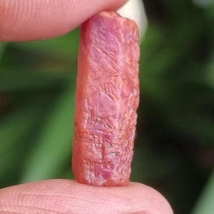 May include: A rough, raw ruby gemstone held between fingers. The ruby is a vibrant pinkish-red color with a textured surface. The gemstone is a rectangular shape and appears to be unpolished.