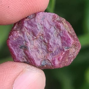 May include: A rough, uncut ruby gemstone held between fingers. The ruby has a deep red color with a textured surface and some darker inclusions. The gemstone is irregularly shaped, showcasing its natural, raw form.