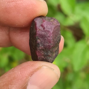 Puede incluir: Una gema de rubí en bruto y sin cortar, sostenida entre los dedos. El rubí tiene un color rojo-púrpura intenso con una superficie ligeramente texturizada. El fondo es verde borroso, lo que sugiere un entorno natural al aire libre. La gema mide aproximadamente 2.5 cm de largo.