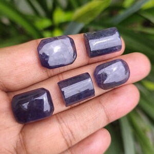 May include: Five polished, dark purple gemstones of varying rectangular shapes. The stones have a glossy finish and reflect light, showcasing their deep color. The gemstones are displayed against a blurred green background.