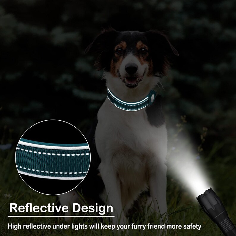 Pode incluir: Uma coleira de cachorro verde escura com costuras reflexivas brancas. A coleira est&aacute; em um cachorro preto e branco em um ambiente de floresta escura. Uma lanterna est&aacute; brilhando na coleira, destacando as propriedades reflexivas.