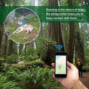 Pode incluir: Um c&atilde;o castanho e branco com uma coleira AirTag azul corre por uma floresta. Uma pessoa est&aacute; segurando um smartphone com um mapa mostrando a localiza&ccedil;&atilde;o do c&atilde;o. O texto na imagem diz: "Correr &eacute; a natureza dos c&atilde;es, a coleira AirTag ajuda voc&ecirc; a manter contato com eles."