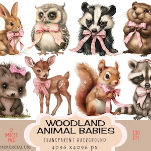 Waldtiere Babys CLIPART PNG Dateien Kommerzielle Nutzung Transparenten Hintergrund Wald Rosa Bogen Kokette Dachs Igel Waschbär Junk Journal