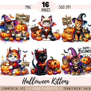 Halloween Cats CLIPART PNG files, Kitten Sublimation, Autumn Fall Pumpkin Fun Costume Ragdoll Calico Commercial use Transparent background