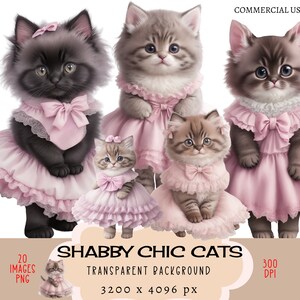 Fichiers PNG CLIPART Shabby Chic Cats Utilisation commerciale Fond transparent Mignon petit chaton duveteux robe rose Tabby Planner Junk Journal