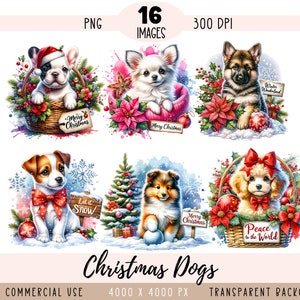 Fichier PNG CLIPART de Noël chiens, sublimation de chiot, shih tzu berger allemand caniche chihuahua york york usage commercial fond transparent