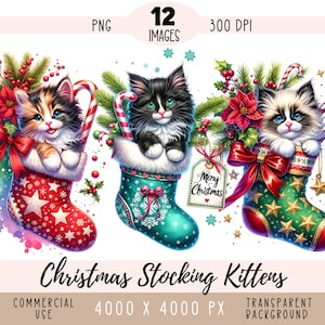 Weihnachtsstrumpf-Kätzchen CLIPART PNG-Datei, niedliche Katzensublimation, Aquarell langhaariges Kätzchen, kommerzielle Verwendung des Tieres transparenter Hintergrund