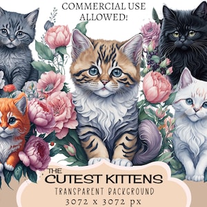 Süße Kätzchen CLIPART PNG-Dateien, kommerzielle Nutzung, transparenten Hintergrund, Blumen Katze Shabby Chic Romantische Aufkleber Junk Journal Haustier Tier
