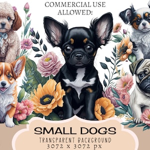Filhotes de cachorros pequenos CLIPART Arquivos PNG, uso comercial, fundo transparente, flores fofas adesivos florais Junk Journal Breed Pug Pomeranian