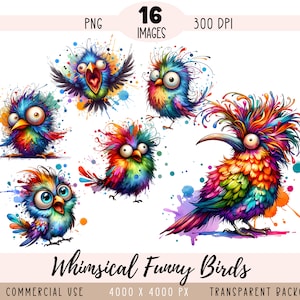 Grillige vogels CLIPART PNG-bestanden, kleurrijke Crazy Parrot sublimatie, grappige eigenzinnige aquarel Cartoon commercieel gebruik transparante achtergrond
