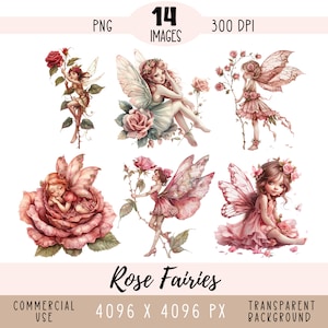 File PNG CLIPART delle fate del giardino, sublimazione della fata dei fiori carina, fata della rosa rosa, bella estate primavera uso commerciale Sfondo trasparente