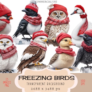 Pássaros congelados CLIPART Arquivos PNG Uso comercial Fundo transparente Natal Inverno Coruja Cisne Magpie Chapéu de Papai Noel Cachecol Bonito Junk Journal