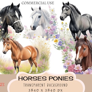 Cavalos Pôneis CLIPART Arquivos PNG, uso comercial, fundo transparente Flores Adesivos florais Junk Journal
