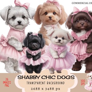 Shabby Chic Dogs CLIPART Archivos PNG Uso comercial Fondo transparente Lindo Cachorro esponjoso Vestido rosa Cockapoo Planificador Diario basura