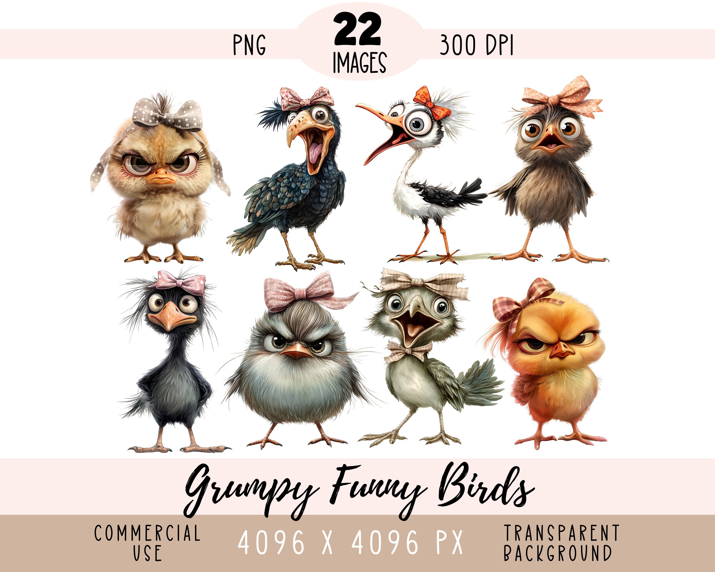 Grumpy Birds CLIPART PNG file, Whimsical Funny Sublimation, Angry Crazy Downloadable Digital Download, Commercial use Transparent background