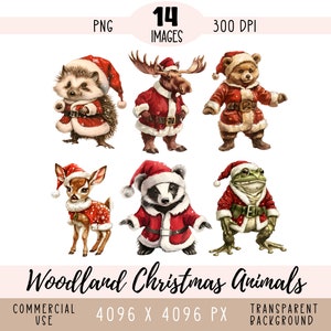 Fichiers PNG CLIPART Noël bois animaux, sublimation orignal, père Noël tenue grenouille hérisson blaireau renard usage Commercial fond transparent