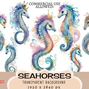 Seepferdchen CLIPART PNG-Dateien, kommerzielle Nutzung, transparenter Hintergrund Wasser Ozean Meeresgeschöpf Fantasie Märchen Junk Journal Scrapbooking