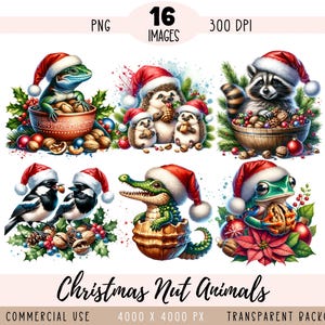 Weihnachts-Nüsse Tiere CLIPART PNG-Datei, Critter Sublimation, Weihnachtsmütze Waschbär Igel Elster Frosch, kommerzielle Nutzung, transparenter Hintergrund