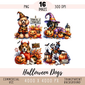Fichiers PNG CLIPART Halloween chiens, Boston Terrier sublimation, automne automne citrouille amusant Golden Retriever usage Commercial fond transparent
