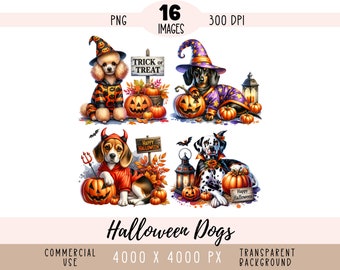 Halloween Dogs CLIPART PNG files, Boston Terrier Sublimation, Autumn Fall Pumpkin Fun Golden Retriever Commercial use Transparent background