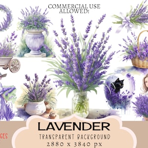 Archivos PNG CLIPART de lavanda, uso comercial, fondo transparente, paquete de ramo de campo, niña, mujer, pegatinas vintage para camión, diario basura, gato