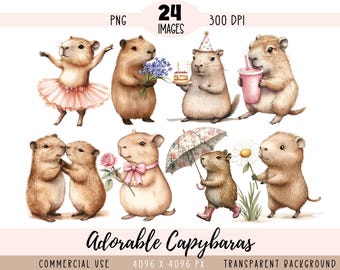 Fichiers Capybaras CLIPART PNG, Animaux adorables mignons, Utilisation commerciale, Fond transparent