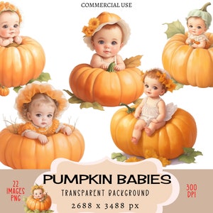 Pumpkin Babies CLIPART PNG files Commercial use Transparent background Little Baby Girl Autumn Fall Halloween Harvest Orange Thanksgiving