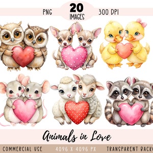 Archivos PNG CLIPART de animales de San Valentín, perros enamorados, sublimación, corazones rojos y rosados, pareja de mascotas, uso comercial, mapache, fondo transparente