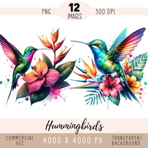Fichier PNG CLIPART colibris fleurs tropicales sublimation hibiscus orchidée bougainvillier oiseau coloré utilisation commerciale fond transparent