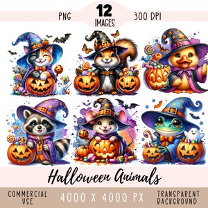 Fichiers PNG CLIPART Halloween animaux, sublimation de chat sorcier, aquarelle raton laveur grenouille cochon hérisson renard, usage Commercial fond Transparent