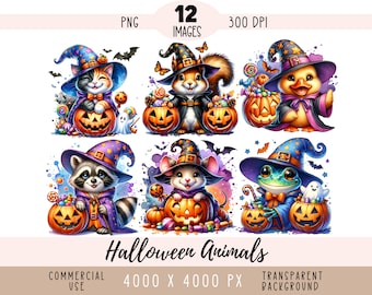 Halloween Animals CLIPART PNG files, Wizard Cat Sublimation, Watercolor Raccoon Frog Pig Hedgehog Fox, Commercial use Transparent background