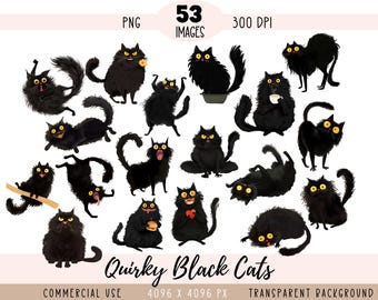 Fichiers PNG CLIPART insolites de chats noirs, sublimation de chat drôle, animal lunatique fou, animal de compagnie à poil long, usage Commercial fond Transparent