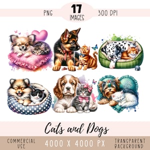Katzen und Hunde CLIPART PNG-Dateien, niedliche beste Freunde BFF Sublimation, zusammen liegen, Welpe Kätzchen Haustier kommerzielle Nutzung transparenter Hintergrund