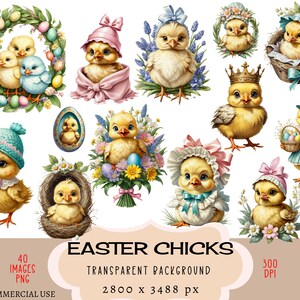 Pintinhos de Páscoa CLIPART Arquivos PNG Uso comercial Fundo transparente Linda guirlanda Narciso Chapéu de ovo Arco Ninho Cesta Junk Journal