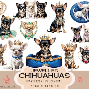 Może przedstawiać: Zestaw cyfrowych obrazów clipart z 25 obrazami uroczych chihuahua w koronkach i naszyjnikach z klejnotami. Psy są przedstawione w różnych pozach, w tym siedzących, stojących i leżących. Obrazy mają przezroczyste tła i idealnie nadają się do projektów rękodzieła, scrapbookingu i projektowania cyfrowego.