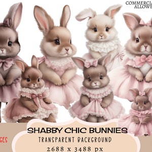 Archivos PNG CLIPART de conejitos Shabby Chic Uso comercial Fondo transparente Lindo vestido rosa esponjoso Bebé niña Guardería Diario basura