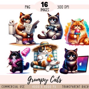 May include: A set of 16 digital images featuring grumpy cats in various poses. The cats are depicted in a cartoon style with exaggerated features. The images are 4000 x 4000 pixels and have a transparent background.