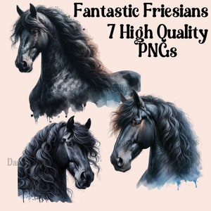 Fries paard PNG Pack 1, aquarel Fries paard, Fries paard clipart, fantastische Friezen PNG, 300DPI paard PNG, digitale download