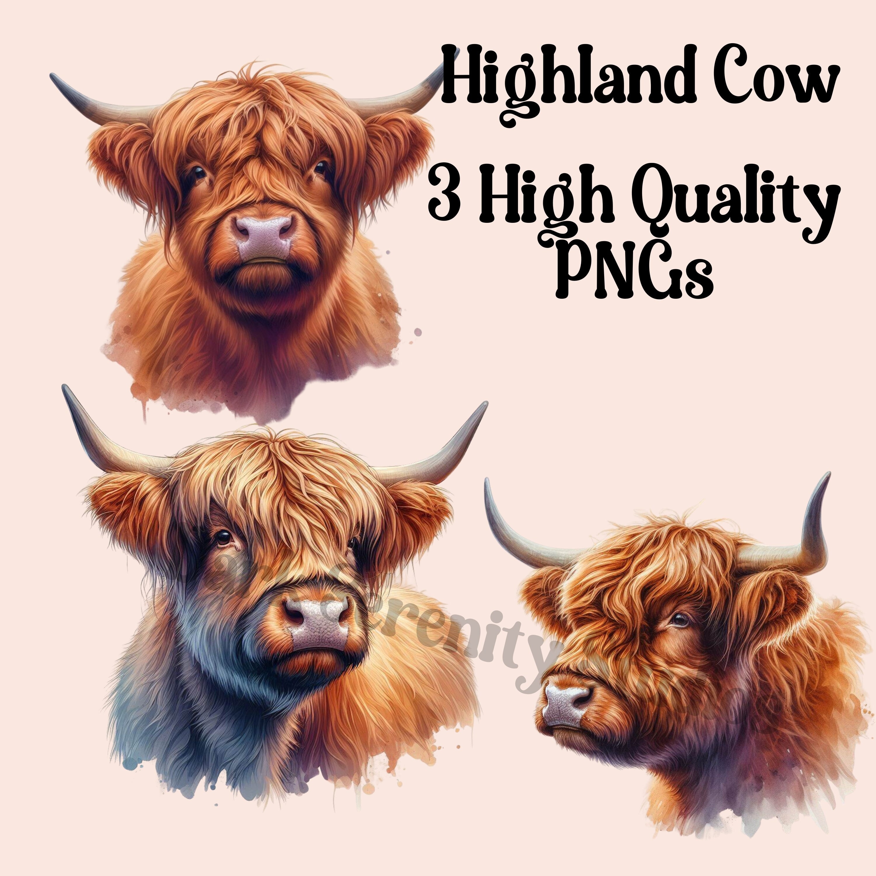 Highland Cow PNG Pack 3, Watercolor Highland Cow, Highland Cow Clipart ...