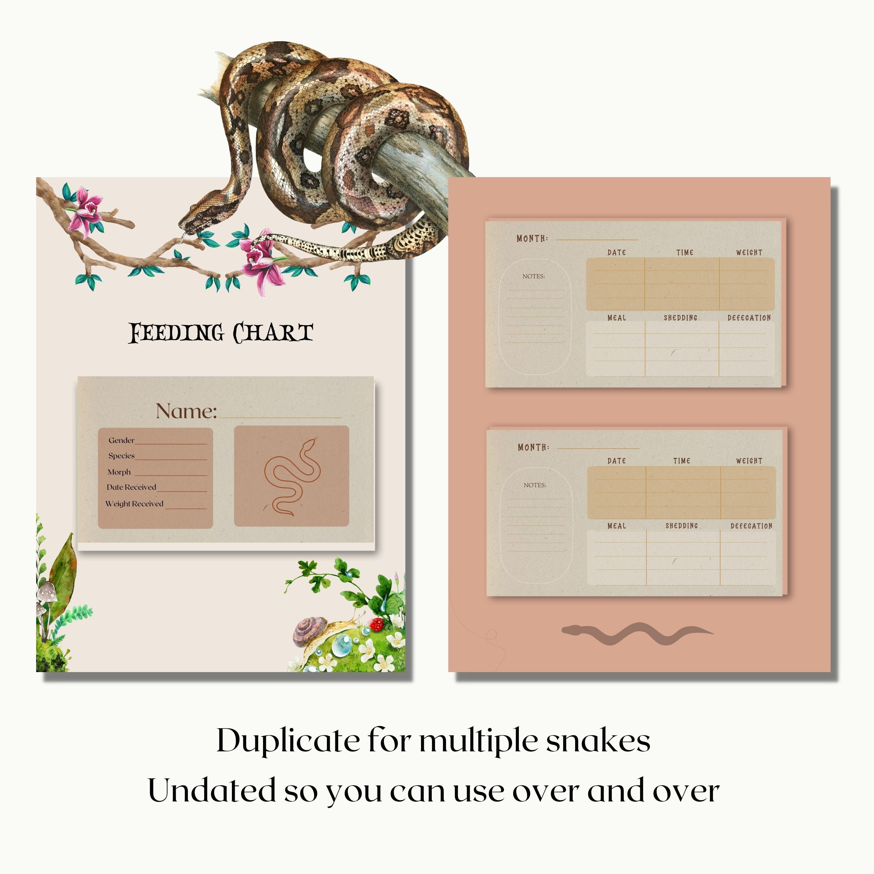 Digital Snake Feeding Log Snake Feeding Tracker Digital Etsy
