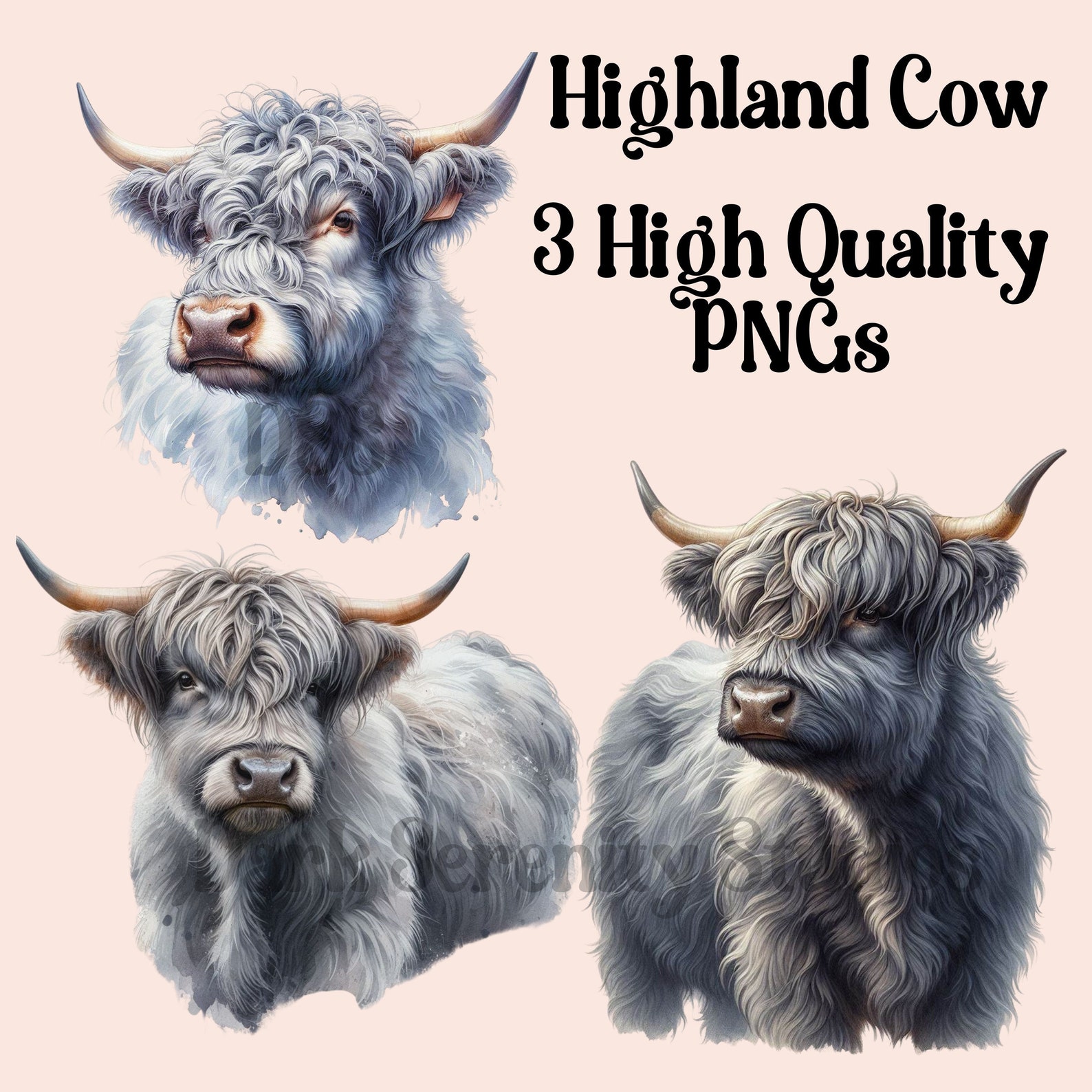 Highland Cow PNG Pack 1, Watercolor Highland Cow, Grey Highland Cow ...