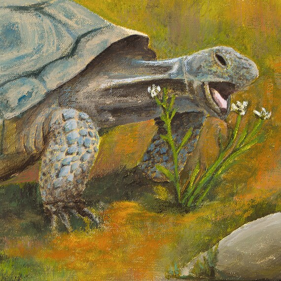 Hand-painted Desert Tortoise Acrylic Painting: Printable Wall Art 