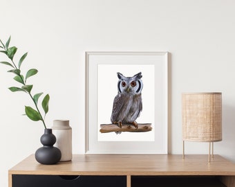 Owl, Wall Art, Art Print, Downloadable, Cute, Animal, Digital Download, Poster of an Owl