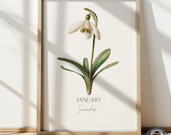 Snowdrop Print: January Birth Flower Botanical Art