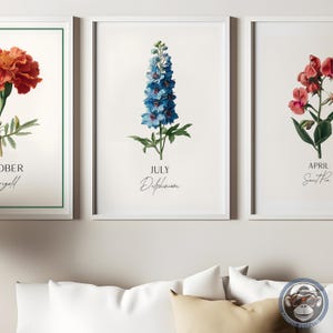 K&ouml;nnte beinhalten: Drei gerahmte botanische Kunstdrucke. Der mittlere Druck zeigt eine blaue Delphiniumblume mit dem Text "JULY Delphinium". Andere Drucke zeigen Blumen und Monate. Die Rahmen sind wei&szlig;.